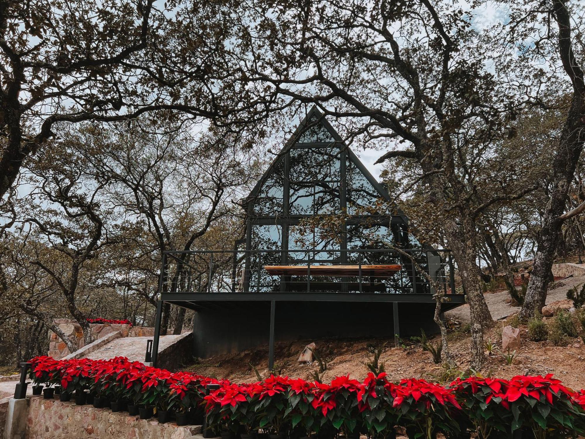 La Foret Cabanas Boutique León Exteriör bild